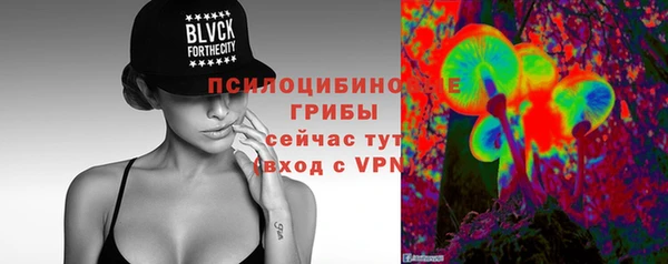 крисы Верхний Тагил