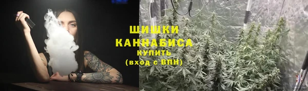 крисы Верхний Тагил
