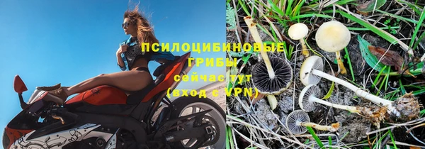 бошки Верея