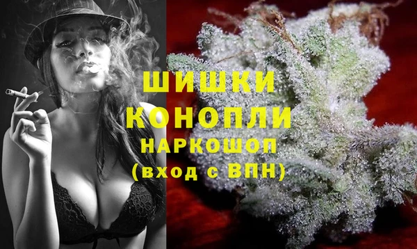 крисы Верхний Тагил