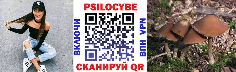продажа наркотиков  mega сайт  Галлюциногенные грибы ЛСД  Черкесск 