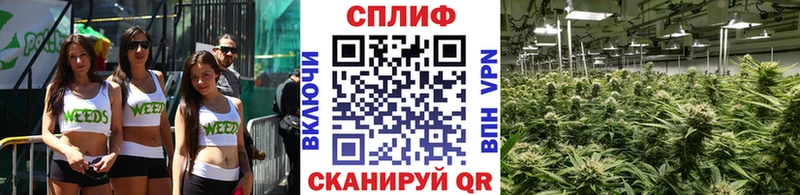 Каннабис MAZAR  Черкесск 